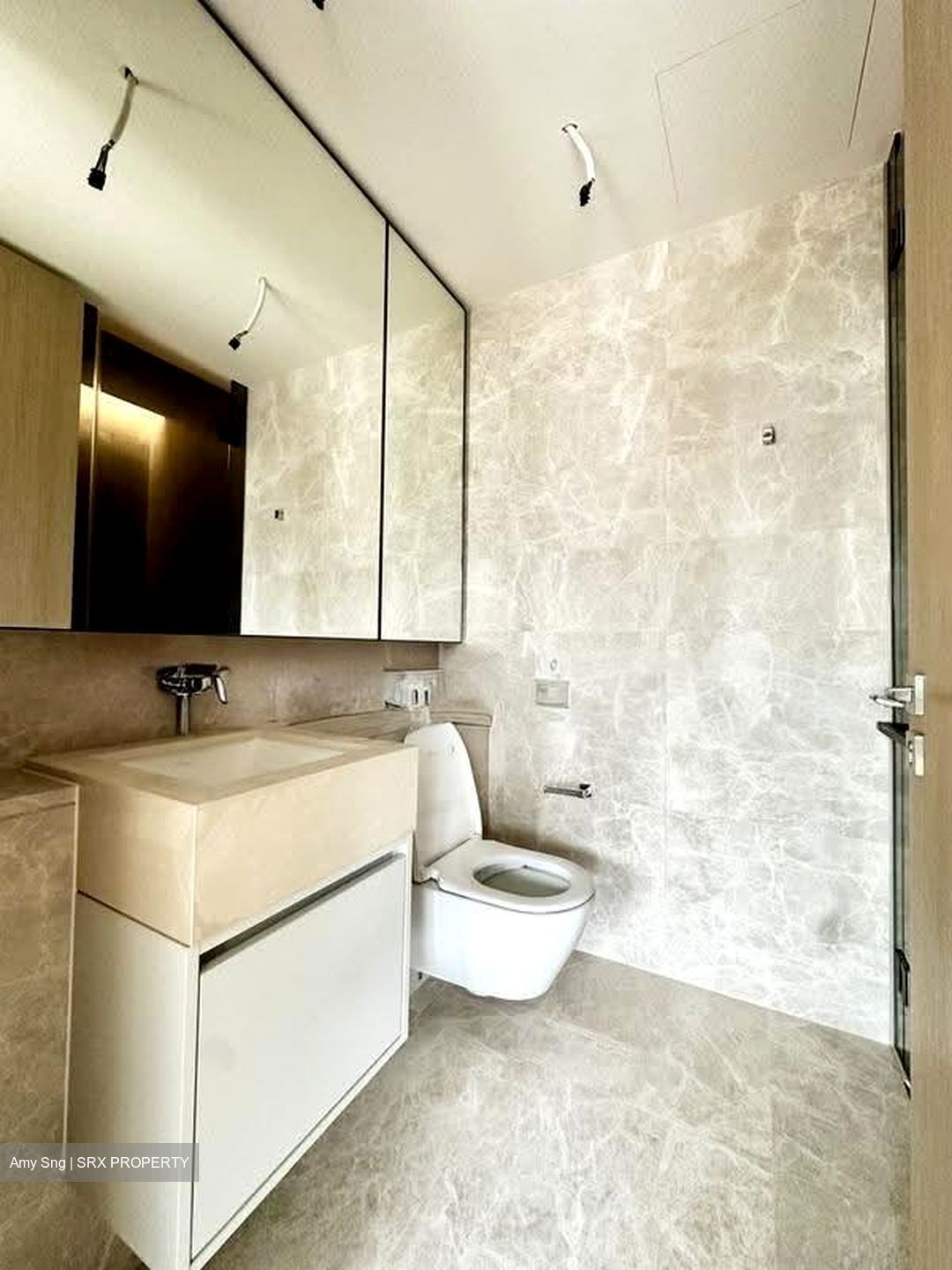 Amber Park (D15), Condominium #624785001